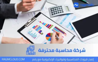 شركة محاسبة محترفة